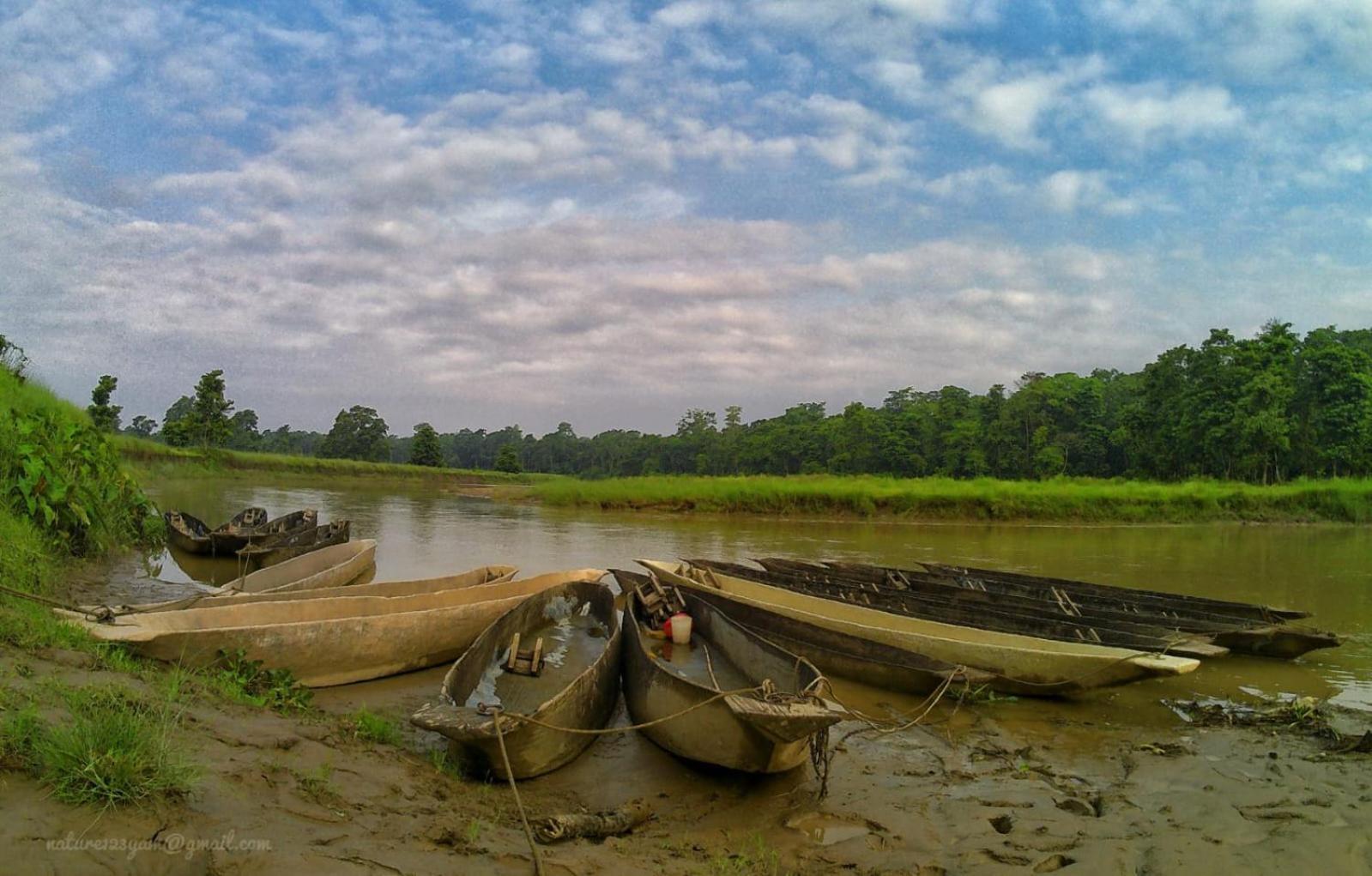 Wild Horizons Guest House Sauraha Exterior photo