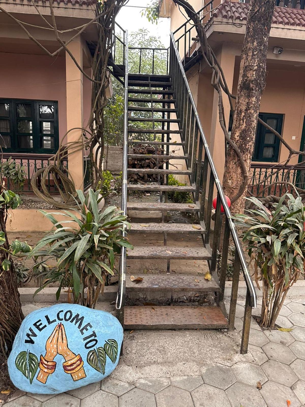 Wild Horizons Guest House Sauraha Exterior photo