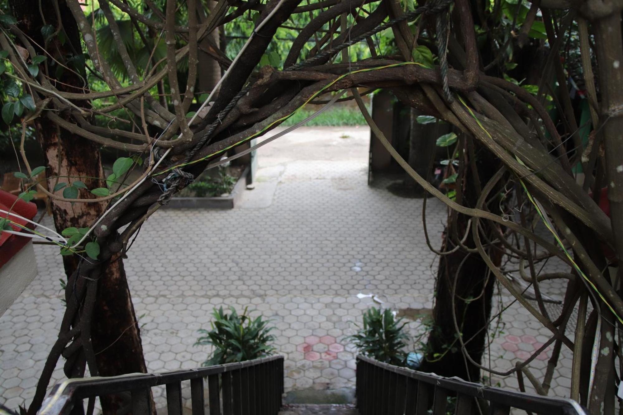 Wild Horizons Guest House Sauraha Exterior photo
